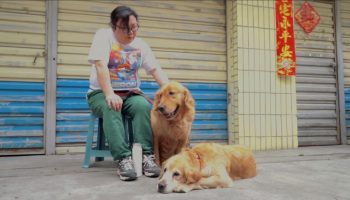 [Ali Inspiration] Traveling Singer Opens Taobao Store to Support Herself and Her Beloved Dogs