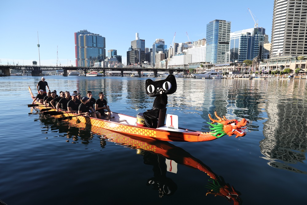 天貓乘「龍」出海！天貓淘寶官方物流服務開通了澳洲海運服務，照顧大件商品的物流！