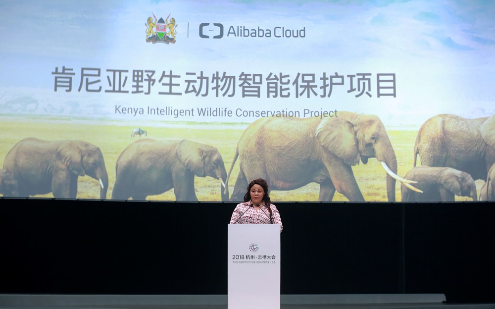 肯亞旅遊及野生動物部秘書長Margaret Mwakima表示，目前，肯亞約有35,000頭大象，其中42%（12,843頭）都生活在東察沃國家公園生態圈內，運用科技來保護野生動物及其在東察沃國家公園內的棲居地非常重要。